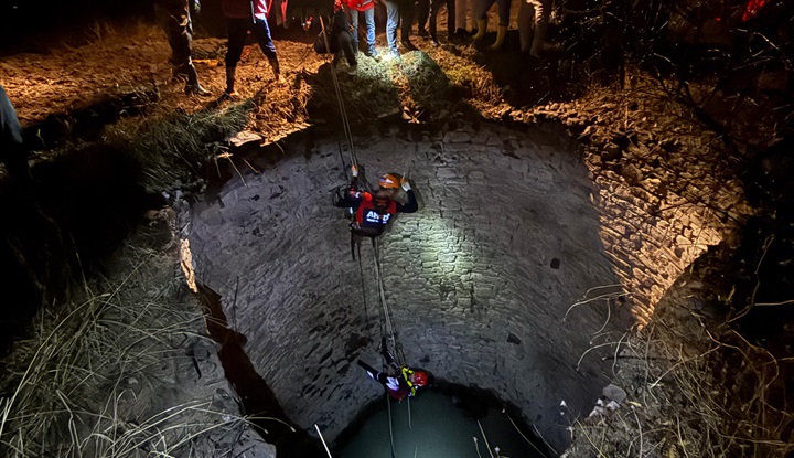 Kuyuya düşen yaban domuzu kurtarıldı