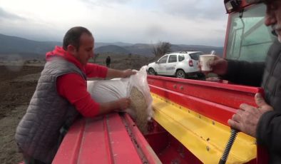 Memleketine gelerek 200 dönümlük atıl araziyi tarıma kazandırdı