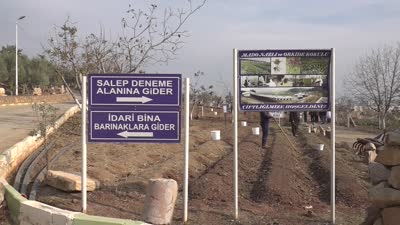 Kahramanmaraş’ta salep üretimi için 5 bin fide toprakla buluştu