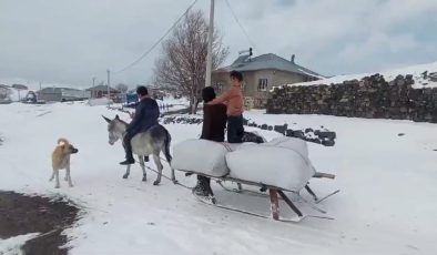Bitlis Sütey Yaylası’nda 2 bin 150 rakımda zorlu kış mesaisi
