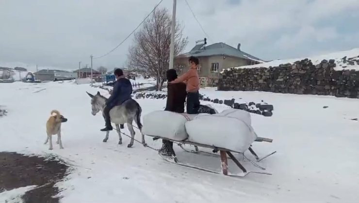 Bitlis Sütey Yaylası’nda 2 bin 150 rakımda zorlu kış mesaisi