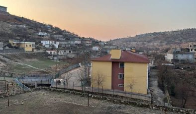 Adıyaman’da kuduz alarmı: Köy karantinaya alındı