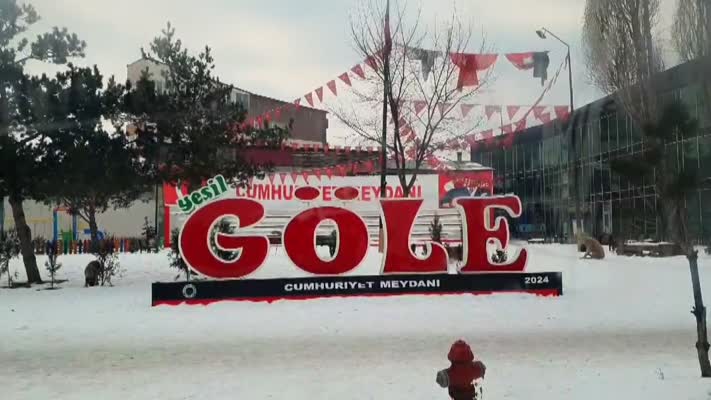 Ardahan’da soğuk hava buzlanmaya neden oldu