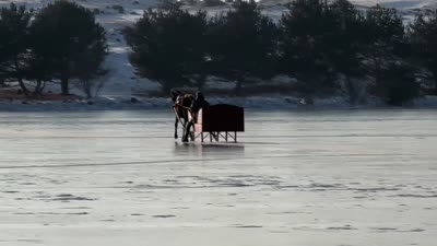 Çıldır Gölü’nde türkü eşliğinde atlı buz eğitimi
