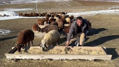 Ağrı’da besiciler karlı arazide zorlu mesaiye başladı