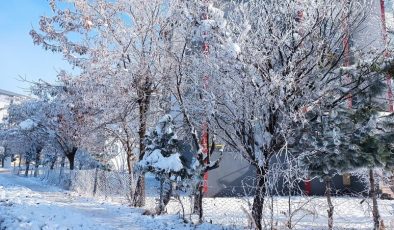 Bitlis’te eksi 15 derece, hayat dondu