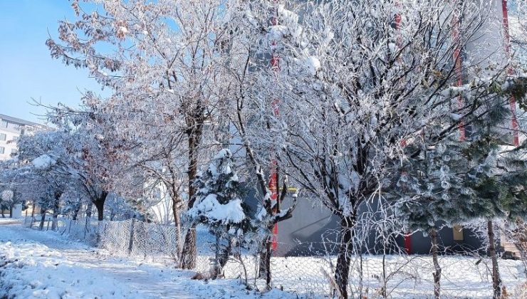 Bitlis’te eksi 15 derece, hayat dondu