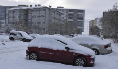 Bitlis’te kar 77 köy yolunu kapattı