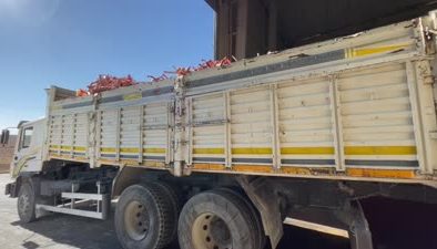 Büyükbaş hayvan kemiklerinden tavuk yemine protein kaynağı üretiliyor