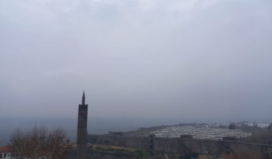 Dicle vadisi sis etkisi altında