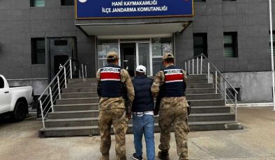 Diyarbakır’da firari hükümlü ve aranan zanlı yakalandı