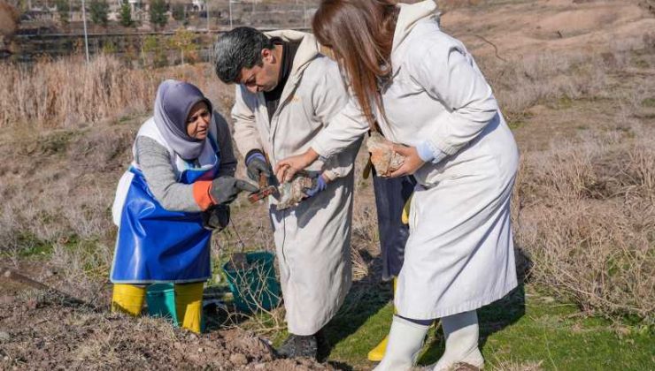 Diyarbakır’da kadınlar, doğada topladığı taşlarla tescilli takılar üretiyor