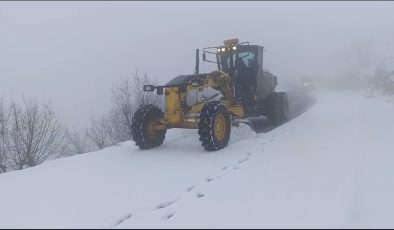 Diyarbakır’da kar temizliği: 105 km yol ulaşıma açıldı