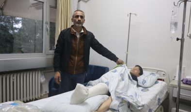 Diyarbakır’da köpek saldırısı dramı