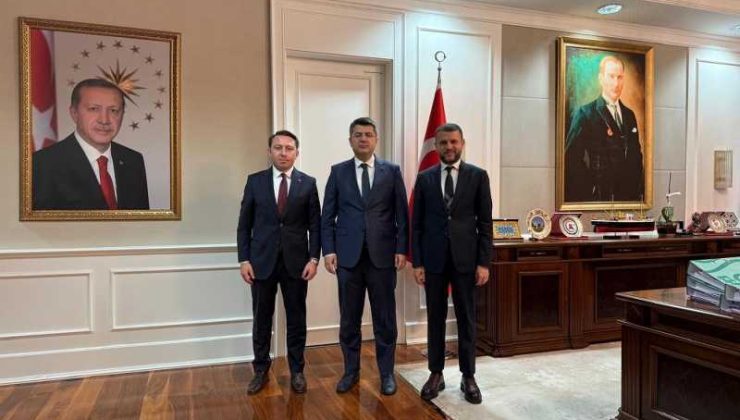Eğil ilçesine doğalgaz ve hastane yatırımları için önemli görüşmeler