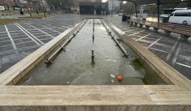 Elazığ’da soğuk hava süs havuzlarını dondurdu