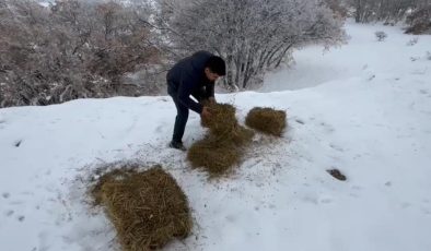 Erzincan’da yaban hayvanları için doğaya yem bırakıldı