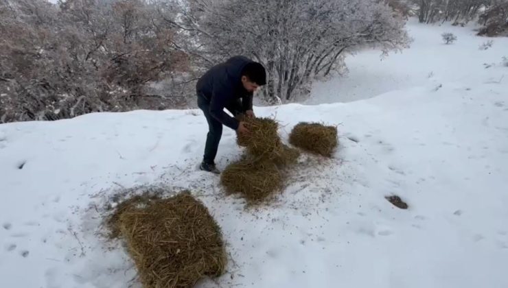Erzincan’da yaban hayvanları için doğaya yem bırakıldı