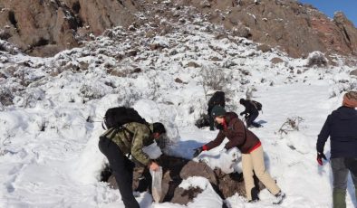 Erzurum’da doğaseverler kekliklere ve yaban hayata destek oluyor