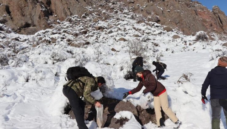 Erzurum’da doğaseverler kekliklere ve yaban hayata destek oluyor