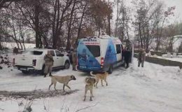 Kayıp öğretmeni arama çalışmaları sürüyor