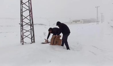 Erzurum’da polis, donmak üzere olan kediyi kurtardı
