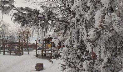 Göle’de hayat eksi 22 dereceyle durdu