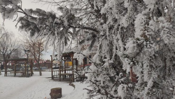 Göle’de hayat eksi 22 dereceyle durdu