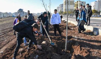 Halkın ismini belirleyeceği parkta çalışmalar devam ediyor
