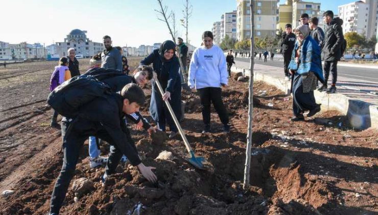 Halkın ismini belirleyeceği parkta çalışmalar devam ediyor