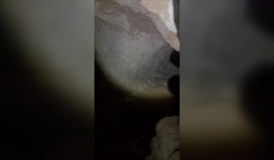 İnşaat kazısında seramik kaplar ve lahit bulundu