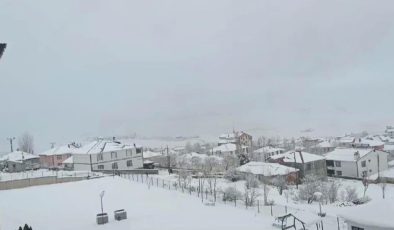 Karlıova’da kardan kapanan 7 köy yolu açıldı