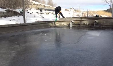 Kars’ta dondurucu soğuk: Balık havuzları buz tuttu