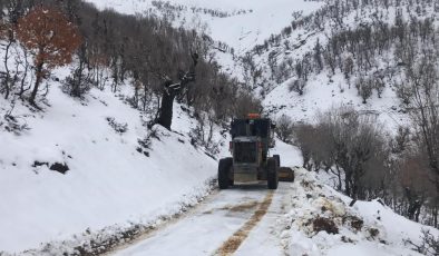 Kulp’ta kardan kapanan yollar açıldı