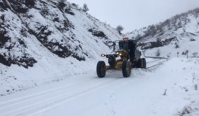 Kulp’ta karla mücadele hız kesmeden devam ediyor