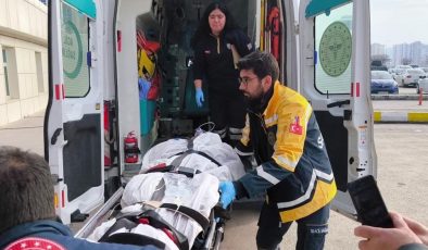 Muhtara saldıran ayı vurularak telef edildi