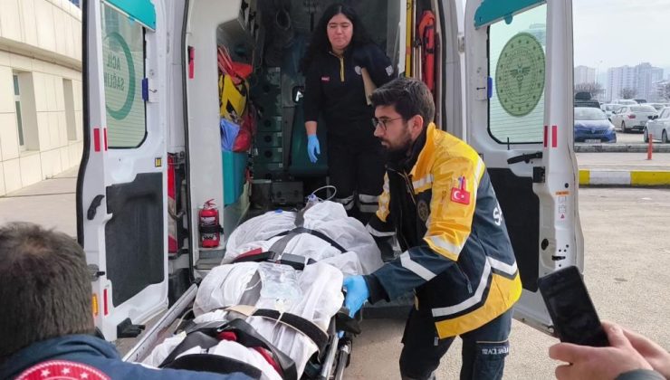 Muhtara saldıran ayı vurularak telef edildi