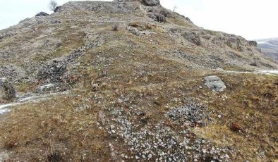 Palu Kalesi’nde dronla dağ keçisi sürüsü görüntülendi
