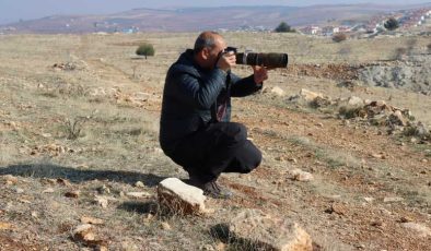 Şanlıurfa’da 300 kuş türü, Mühendisten 25 yıllık gözlem hikayesi