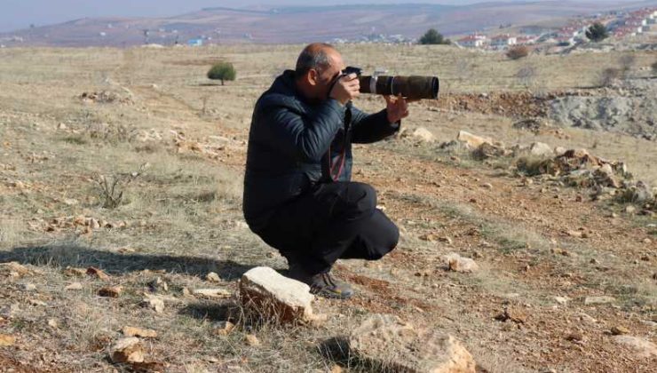 Şanlıurfa’da 300 kuş türü, Mühendisten 25 yıllık gözlem hikayesi