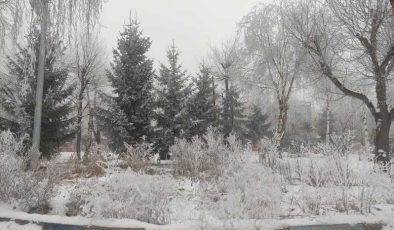 Sibirya soğukları Ardahan’ı dondurdu