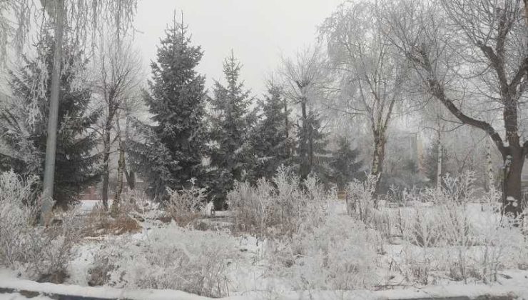 Sibirya soğukları Ardahan’ı dondurdu