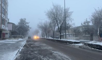 Erzurum sıfırın altında 17 dereceyle Türkiye’nin en soğuk ili oldu