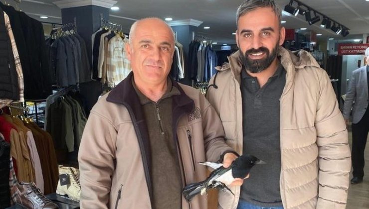 Şırnak’ta esnaf yaralı saksağanı kurtardı