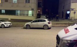 Aile faciası: Anne ve kardeşini öldürdü