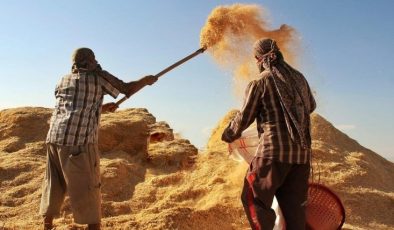 Tarımsal girdi fiyatları yıllık yüzde 32,59 arttı