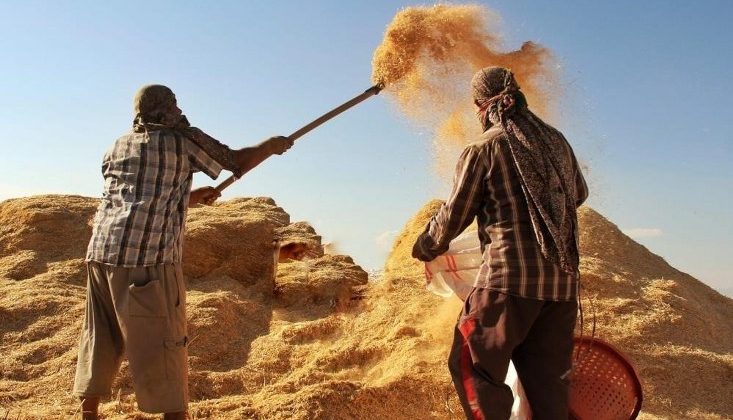 Tarımsal girdi fiyatları yıllık yüzde 32,59 arttı