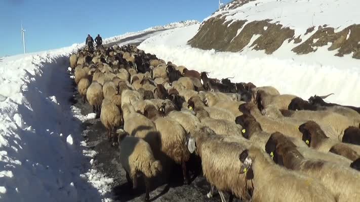 Muş’ta tipi nedeniyle mahsur kalan besiciler kurtarıldı