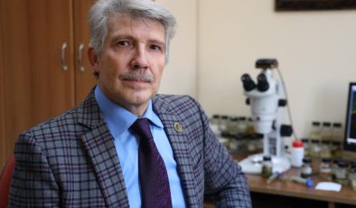 Türk tıp sülüğü Hirudo Sulukii dünya literatüründe