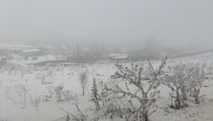 Van’da dondurucu soğuk: Ağaçlar kırağıyla kaplandı